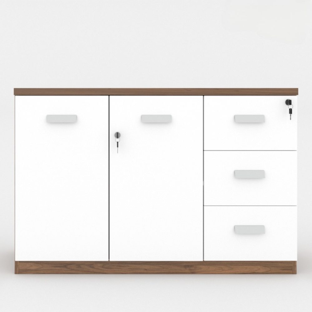 Tủ Văn Phòng Dạng Lửng 2 Cánh 3 Ngăn - THS54 4