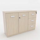 Tủ Văn Phòng Dạng Lửng 2 Cánh 3 Ngăn - THS54 5