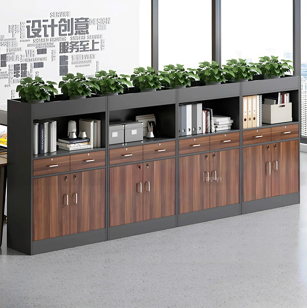 Tủ Tài Liệu Thiết Kế Thanh Lịch - THS224 1