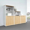 [THS210] Tủ Tài Liệu Lưu Trữ Được Thiết Kế Kệ Tầng - THS210