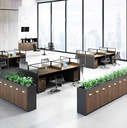 Tủ Tài Liệu Trang Trí Cây Xanh Văn Phòng - THS162 3