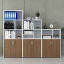 Tủ Tài Liệu Có Kệ Tầng Trang Trí - THS92 3