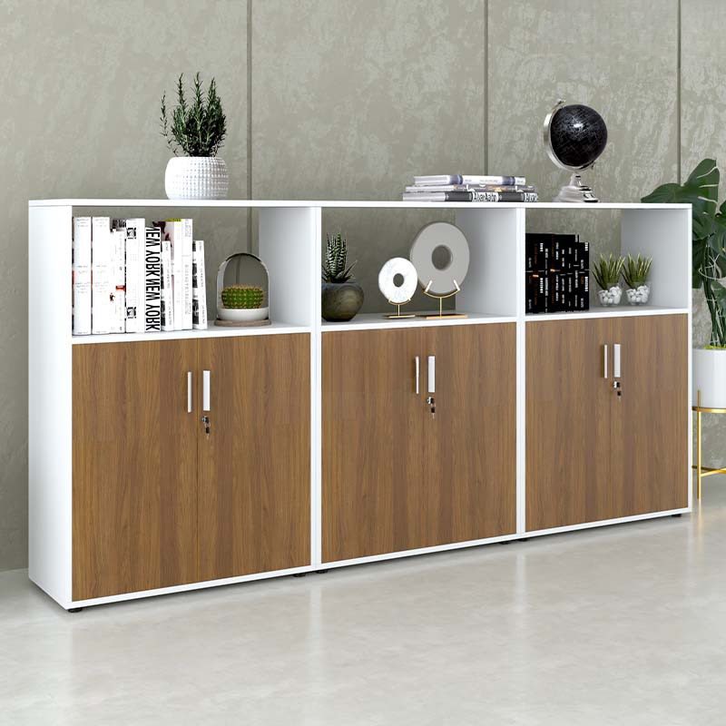 Tủ Văn Phòng Dạng Lửng Có Kệ - THS91 2