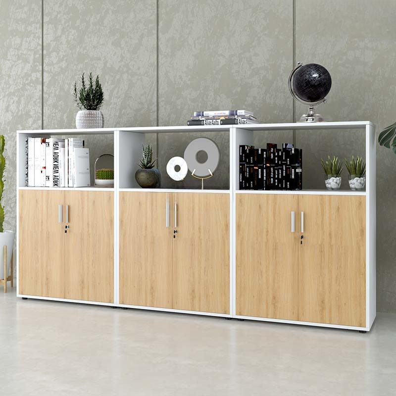 Tủ Văn Phòng Dạng Lửng Có Kệ - THS91 3