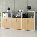 Tủ Văn Phòng Dạng Lửng Có Kệ - THS91 3