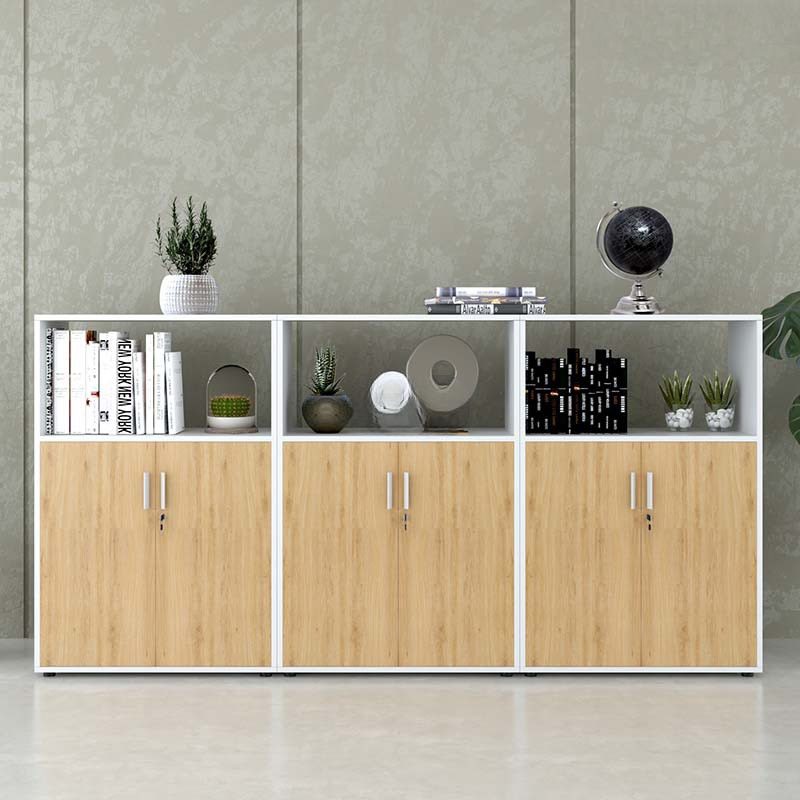 Tủ Văn Phòng Dạng Lửng Có Kệ - THS91 4