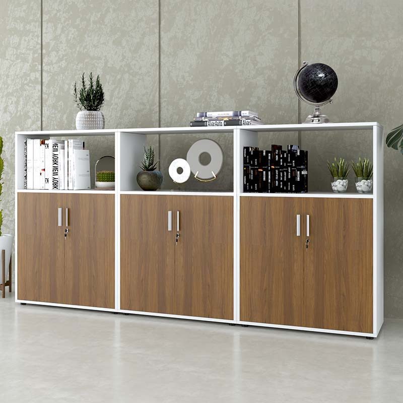 Tủ Văn Phòng Dạng Lửng Có Kệ - THS91 5