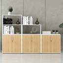 Tủ Tài Liệu Kệ Tầng Đa Năng - THS90 1