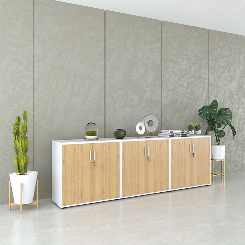 Tủ Tài Liệu Gỗ Lưu Trữ Dữ Liệu Bảo Mật - THS86 2