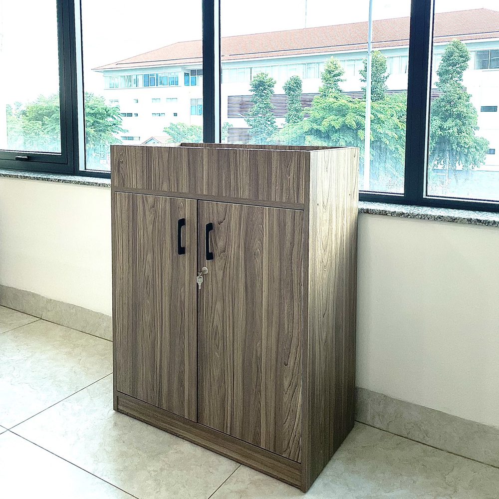 Tủ Văn Phòng Dạng Lửng Hiện Đại - THS149 5
