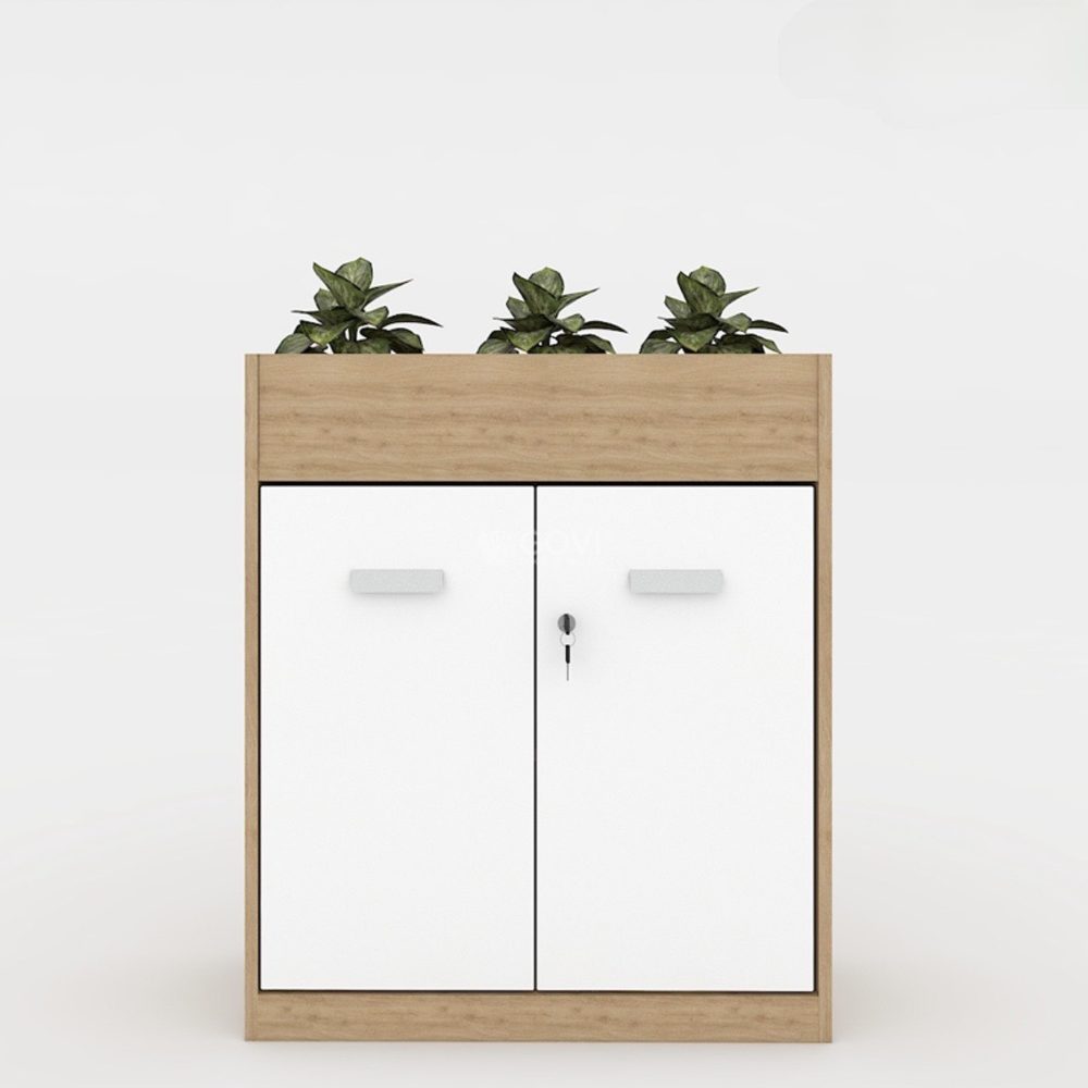Tủ Văn Phòng Trang Trí Hiện Đại - THS102 4