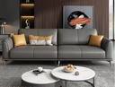 Ghế Sofa Bọc Da Cao Cấp Sang Trọng - SF19 2