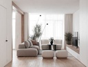 Ghế Sofa Băng Xám Thanh Lịch - SF29 1