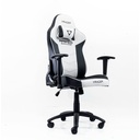 Ghế Gaming RAPIO VRACER Không Gác - GM17 2