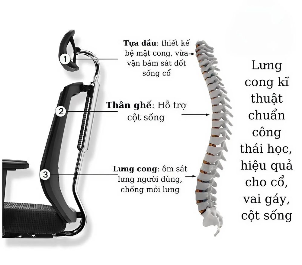 Ghế Lưới Công Thái Học Với Tựa Đầu Điều Chỉnh - CTH29 4