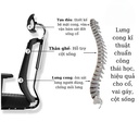 Ghế Lưới Công Thái Học Với Tựa Đầu Điều Chỉnh - CTH29 4