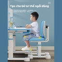 Ghế Học Sinh Chống Gù Điều Chỉnh - BGHS18 2