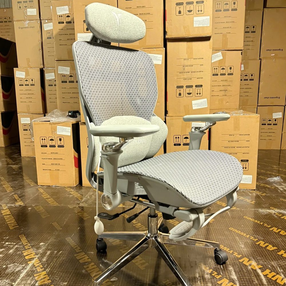 Ghế Công Thái Học LIKE REGA Lưng Lưới Êm Ái - CTH27 1