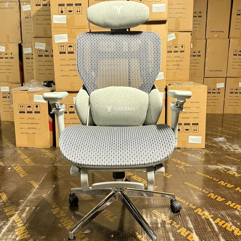 Ghế Công Thái Học LIKE REGA Lưng Lưới Êm Ái - CTH27 3