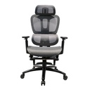 Ghế Công Thái Học Tay Điều Chỉnh - CTH23 5