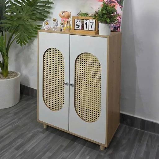 Kệ Giày Dép Cửa Lưới Mây Hiện Đại - KGD29