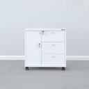 Hộc Tủ Phụ 3 Ngăn Di Động - TP10