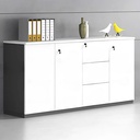 Tủ Tài Liệu Thấp 1m6 - THS219