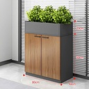 Tủ Tài Liệu Kết Hợp Cây Xanh Hiện Đại - THS165