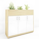 Tủ Tài Liệu Trang Trí Cây 3 Cánh - THS159