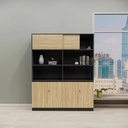 Tủ Hồ Sơ Phân Khu Lưu Trữ Kín Mở Linh Hoạt - THS295