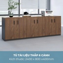 Tủ Tài Liệu Trung 6 Cánh Hiện Đại - THS272