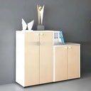 Tủ Tài Liệu Gỗ Kệ Tầng Classic - THS206