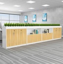 Tủ Tài Liệu Thấp Để Trồng Cây Xanh - THS204