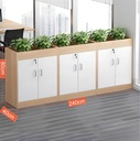 Tủ Văn Phòng Trang Trí Nội Thất Đa Năng - THS200