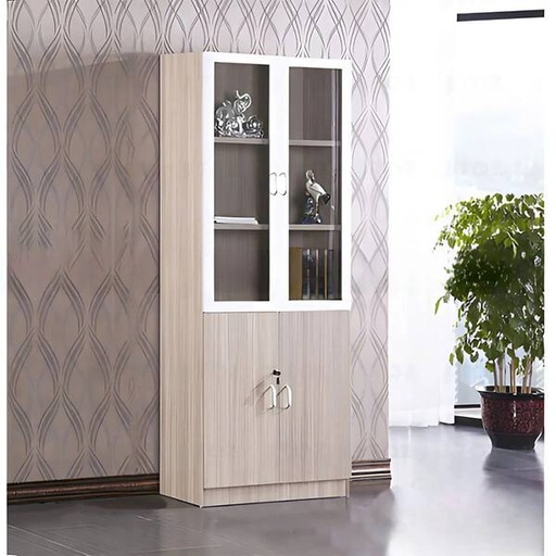 Document Cabinet with 2 Glass Doors - THS264