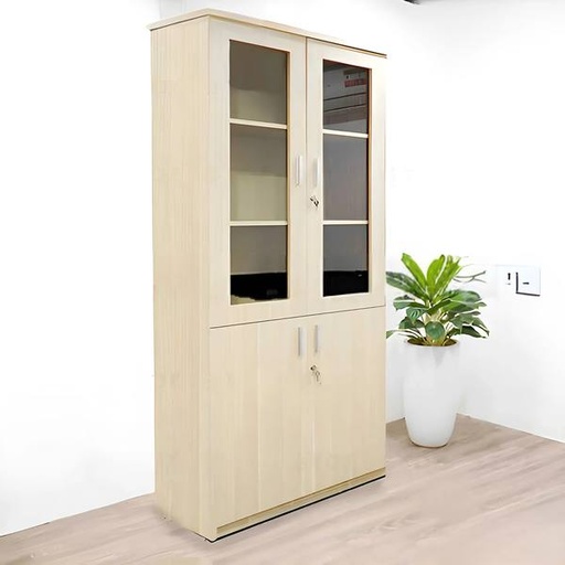 Tủ Văn Phòng 2 Cánh Tiện Lợi - THS248
